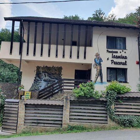 Pensiunea Iasmina Si Pescarul Călimăneşti Exteriör bild