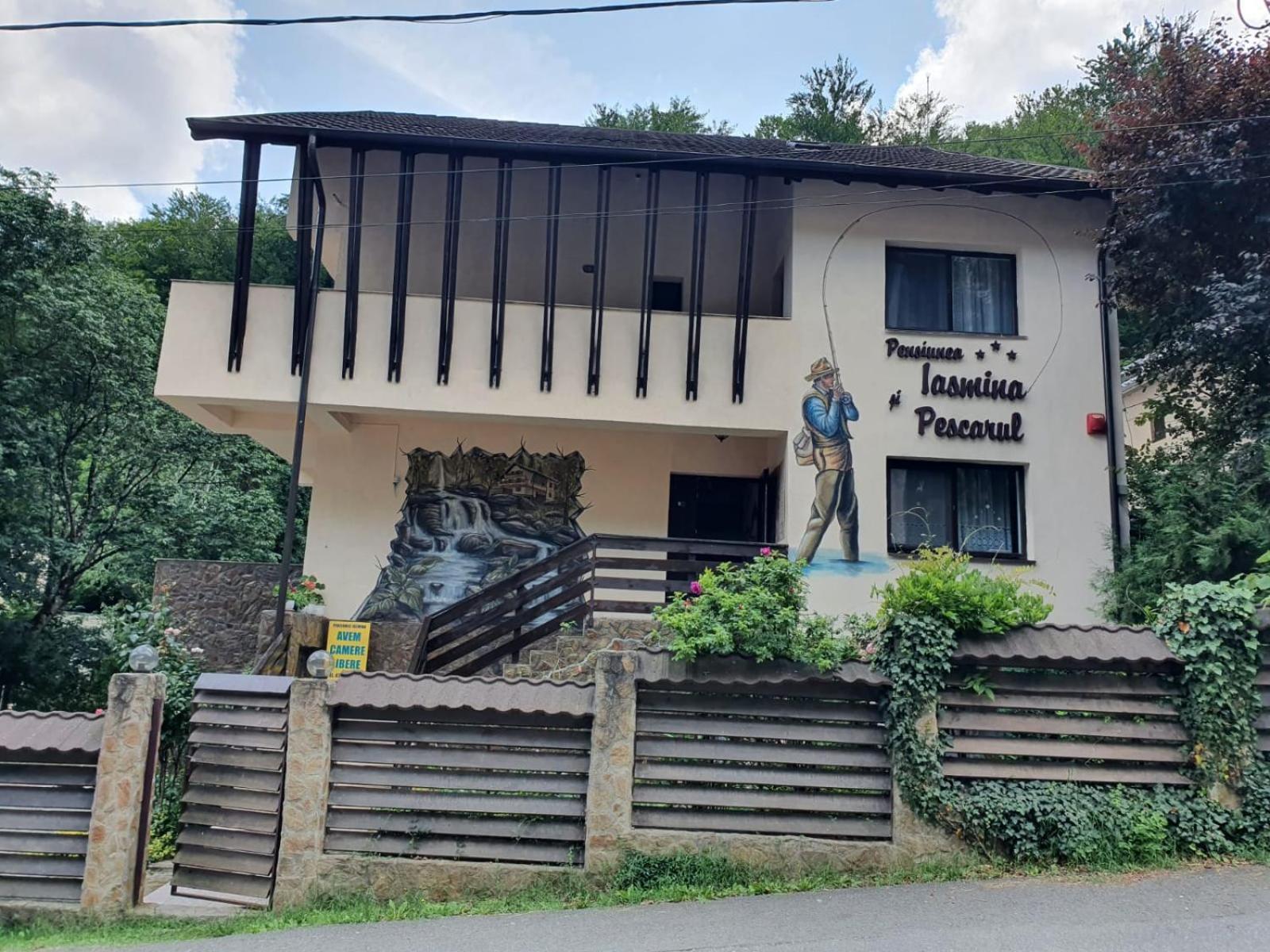 Pensiunea Iasmina Si Pescarul Călimăneşti Exteriör bild